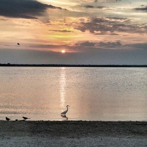 Meet your Posher, Gladys