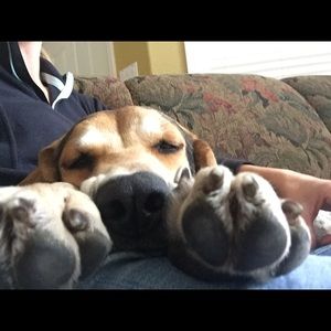 Meet your Posher, Meagan