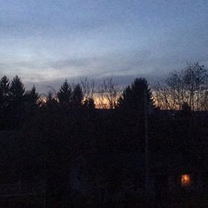 Meet your Posher, Avery