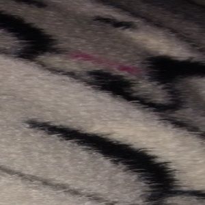 Meet your Posher, Lola