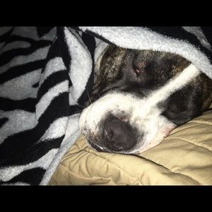 Meet your Posher, Amber