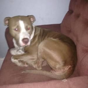 Meet your Posher, Tommy