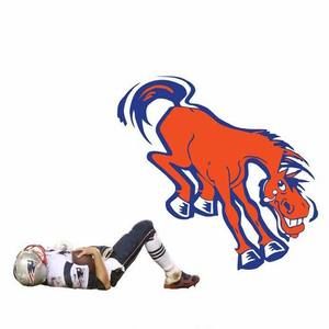 Meet your Posher, Kyle