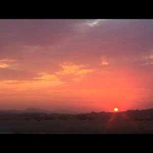 Meet your Posher, Brenna