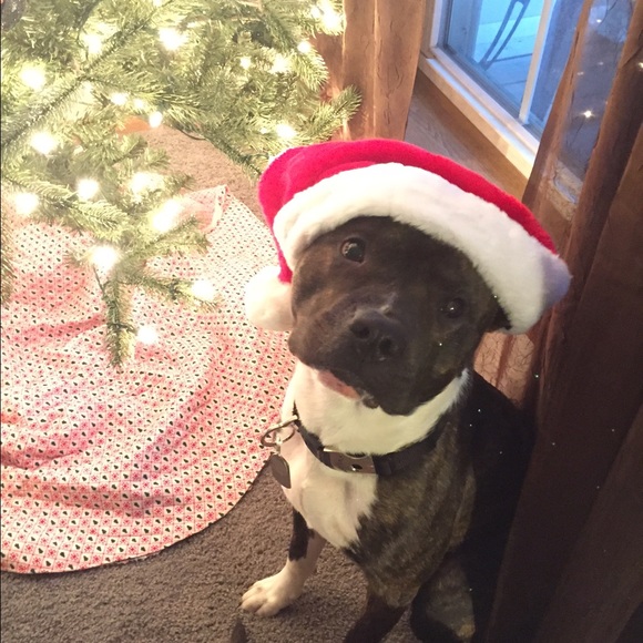 Meet your Posher, Brittney - Picture 1 of 1