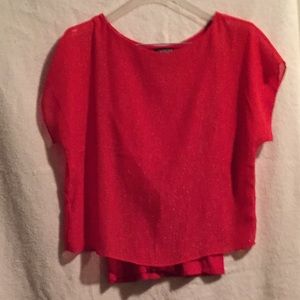 Express shimmery shirt