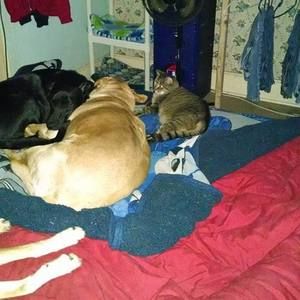 Meet your Posher, Kimberly