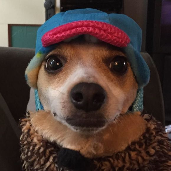 Meet your Posher, Dana - Picture 1 of 1