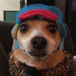 Meet your Posher, Dana