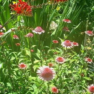 Meet your Posher, Xia