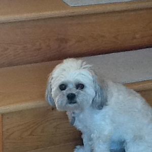 Meet your Posher, Laura