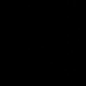 Meet your Posher, Emilee