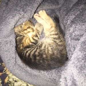 Meet your Posher, Barbara