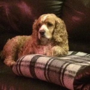 Meet your Posher, Tammy