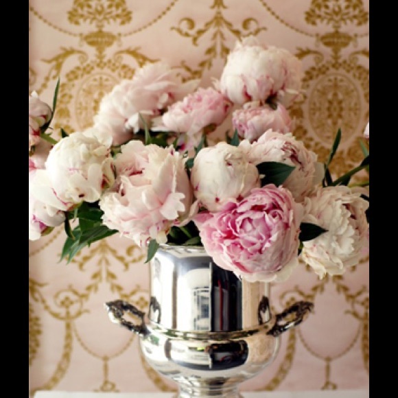 Meet your Posher, Sharon - Picture 1 of 1