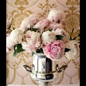 Meet your Posher, Sharon