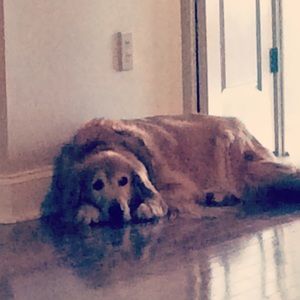 Meet your Posher, Carolyn