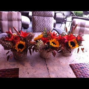 Meet your Posher, Dawn