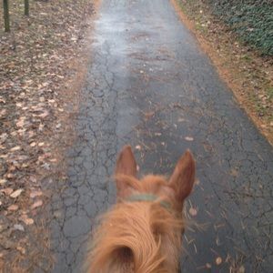 Meet your Posher, Carrie