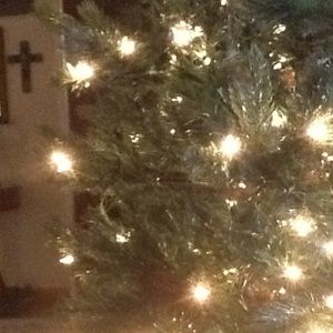 Meet your Posher, Sandy