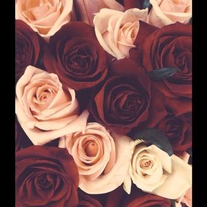 Meet your Posher, Jacque