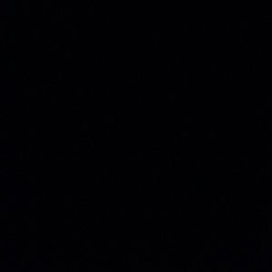 Meet your Posher, Paige