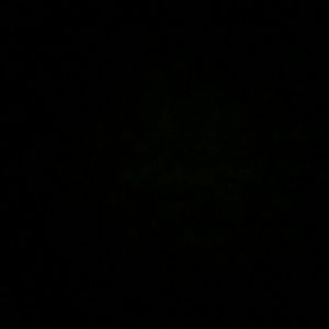 Meet your Posher, Clara