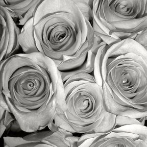 Meet your Posher, Bruna