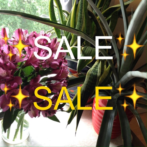 🎉✨ I'M BACK!! ✨🎉 - Picture 2 of 2