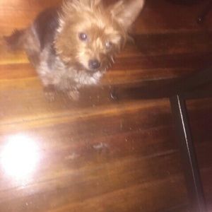 Meet your Posher, Linda