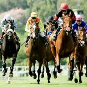 Meet your Posher, Lilia