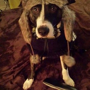 Meet your Posher, Mary