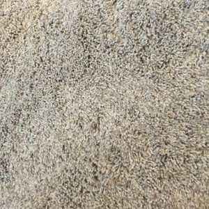 Meet your Posher, Chassie