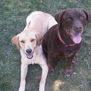 Meet your Posher, Donny