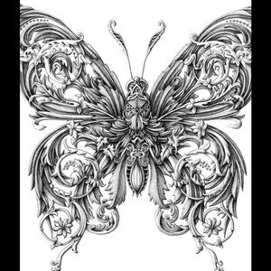 Meet your Posher, Daphne