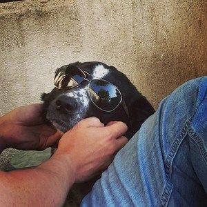 Meet your Posher, Davonne