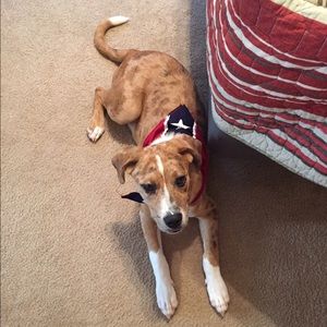 Meet your Posher, Gina