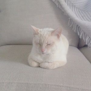 Meet your Posher, Caroline