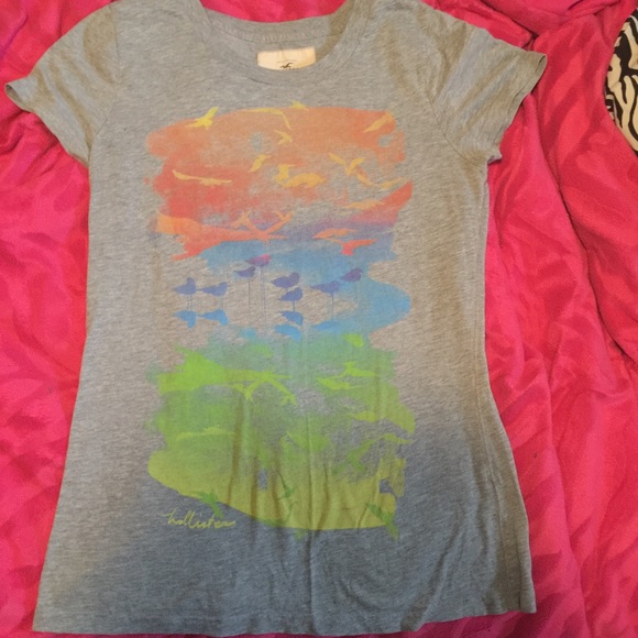 Lg Hollister Tee NWOT