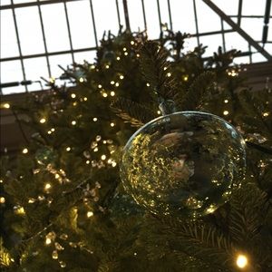 Meet your Posher, Kylie