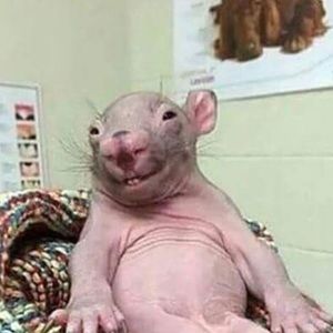 Meet your Posher, Martha