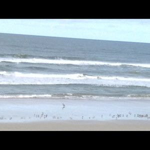 Meet your Posher, Norma