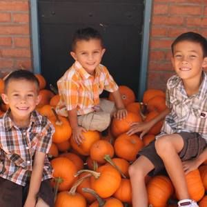 Meet your Posher, Julie