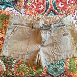 🎉Nwot Arizona shorts