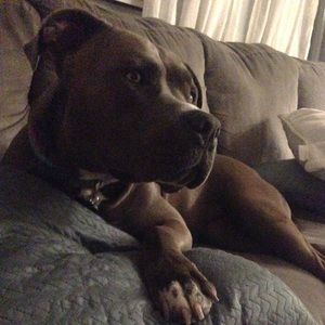 Meet your Posher, Marisol