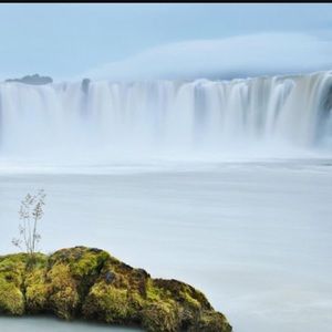 Meet your Posher, Maiko