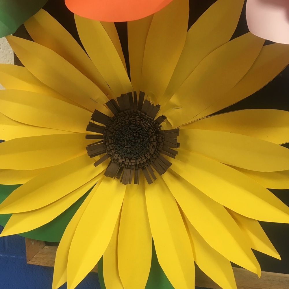 Meet your Posher, Holly