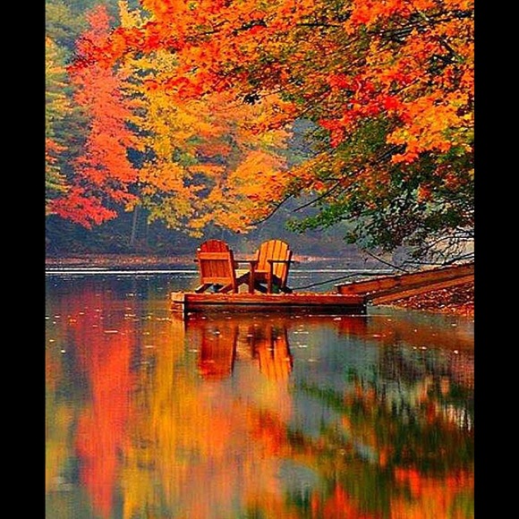 Meet your Posher, Barbara - Picture 1 of 1