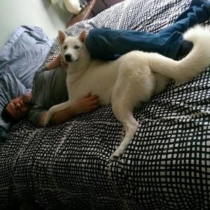 Meet your Posher, Ashleigh