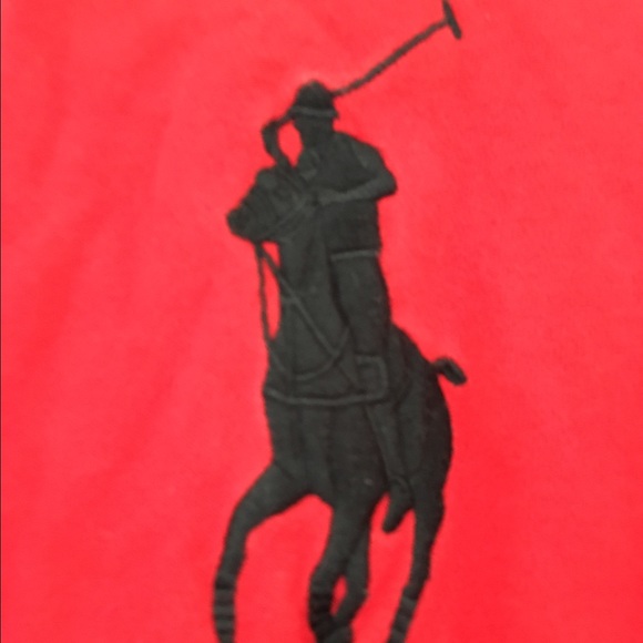 Ralph Lauren Hoody from 2010 Polo Collection - Picture 3 of 4